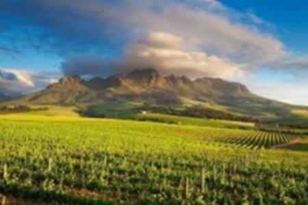 Full Day Cape Winelands Tour